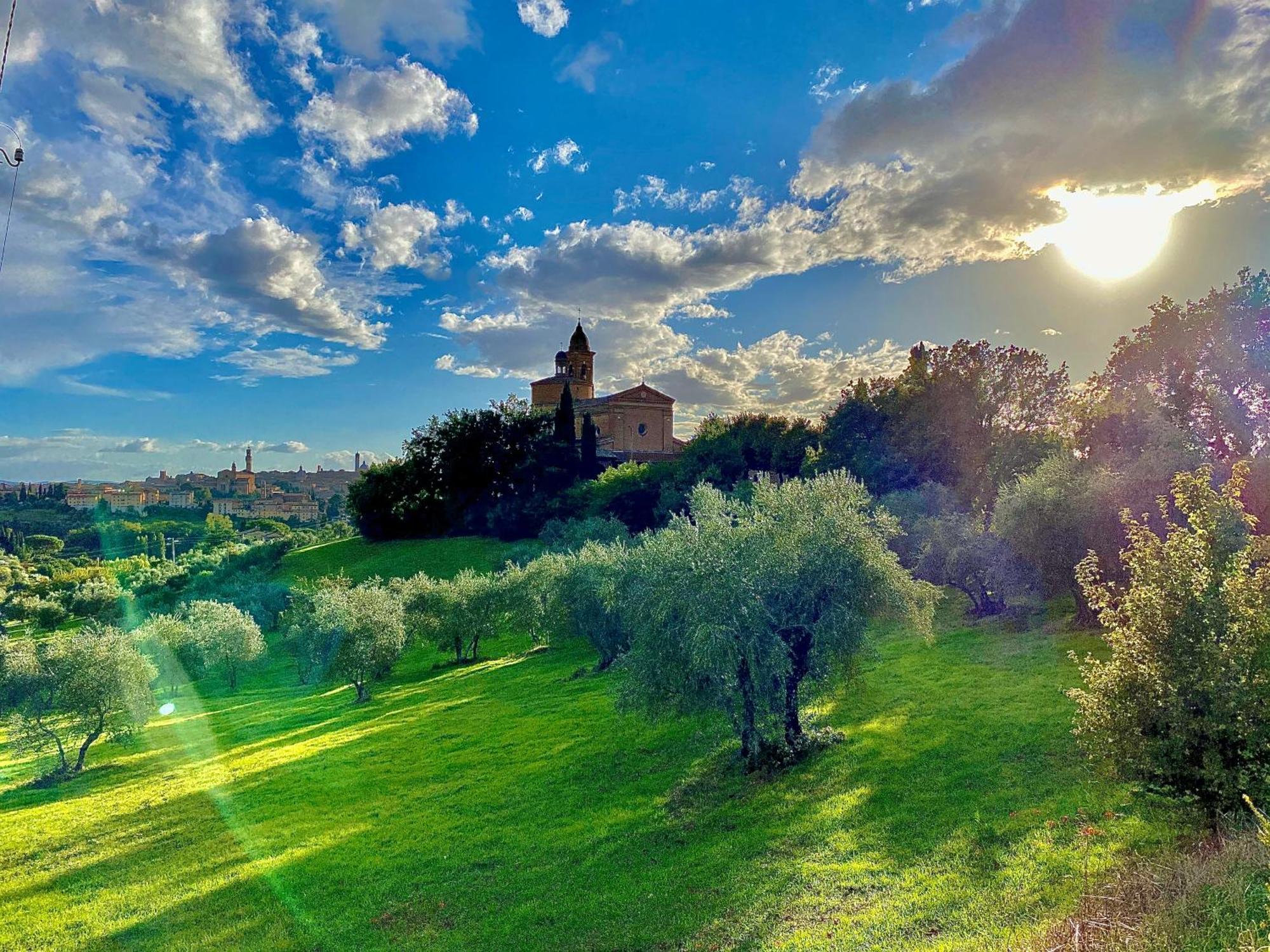 סיינה Palazzo Del Papa Country Suites מראה חיצוני תמונה